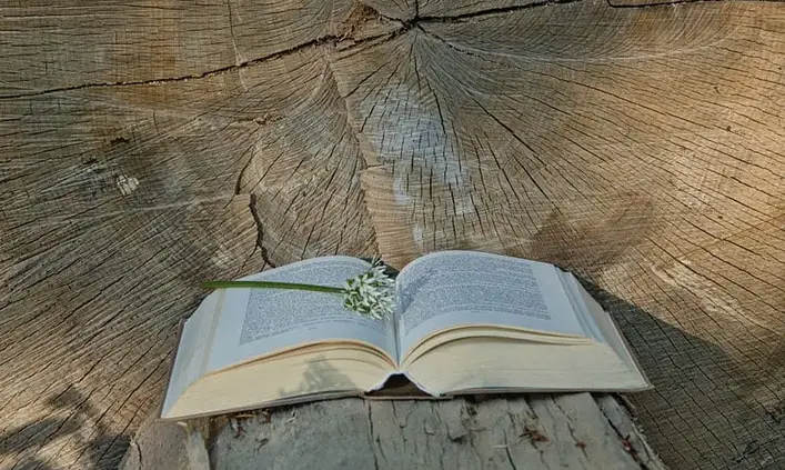 Porque aprender filosofia
