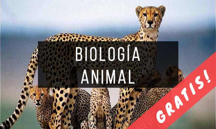 Libros de Biologia Animal PDF