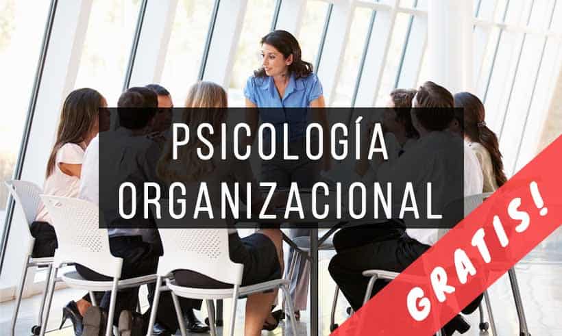 Libros de Psicologia Organizacional PDF