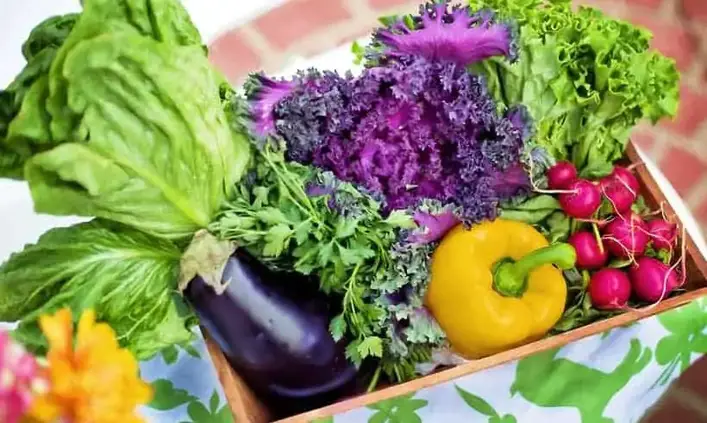 Por-que-obtener-un-libro-de-nutricion
