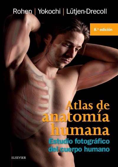 Atlas De Anatomía Humana 8 Edición