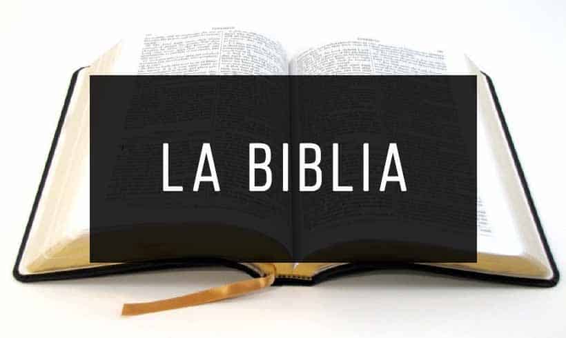 Todos Los Libros De La Biblia Gratis Pdf Infolibros Org