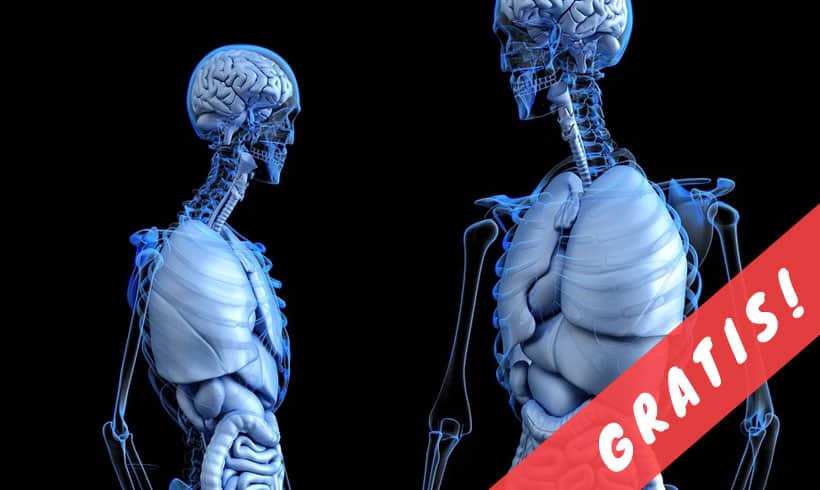 Libros-de-anatomia-PDF-portada