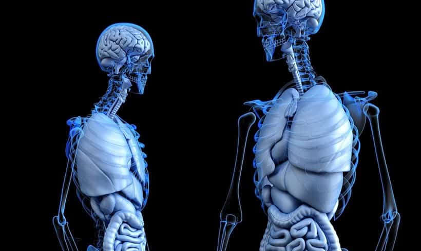 Libros-de-anatomia-portada
