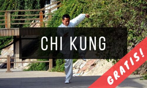 Libros de Chi Kung