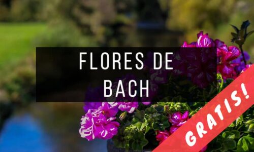 Libros de Flores de Bach