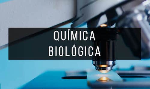 Quimica-biologica