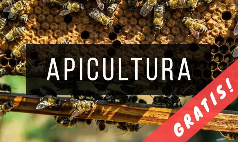 Libros-de-apicultura-PDF