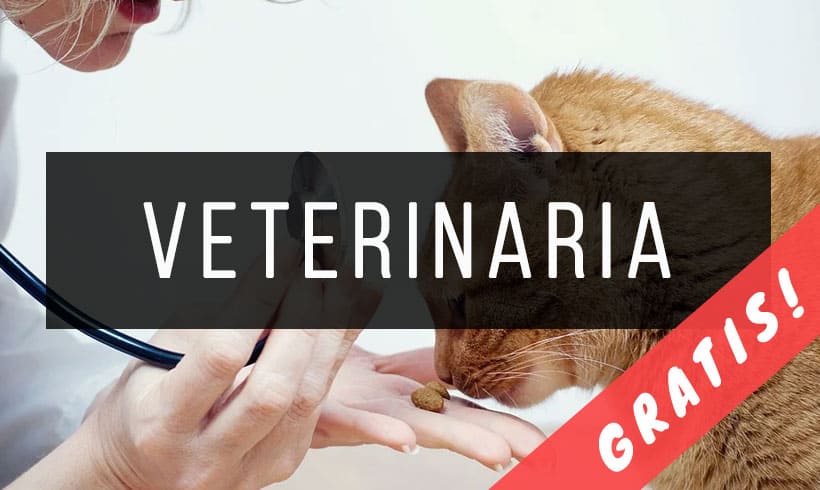 Libros-de-veterinaria-PDF