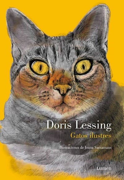 jugo Rebotar Evaluación Los Mejores 15 Libros de Gatos | InfoLibros.org
