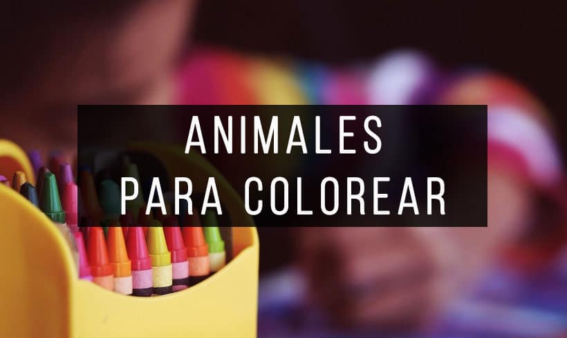 Libros-de-animales-para-colorear