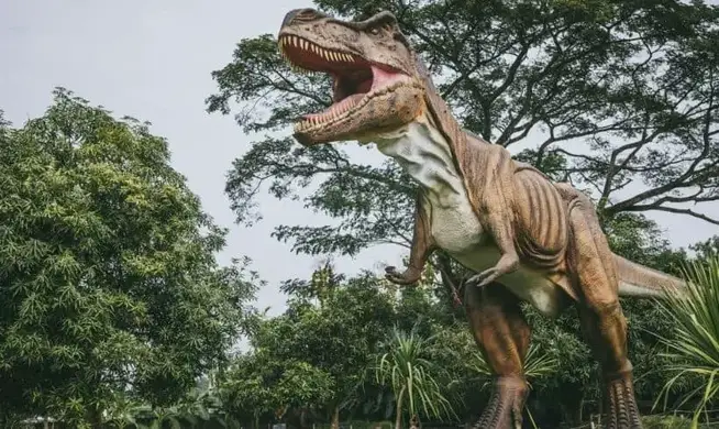 Libros de dinosaurios en el mercado Objetivos-del-Romance
