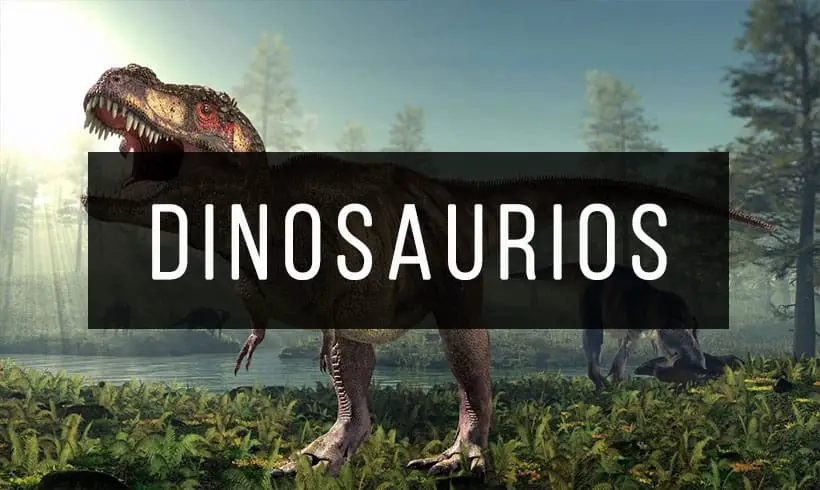 Los Mejores 10 Libros de Dinosaurios 