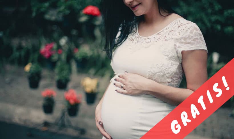 Libros-para-embarazadas-PDF-portada