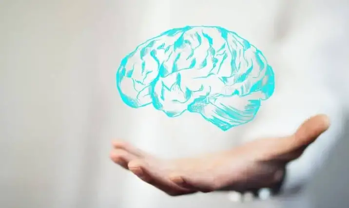 Aportes de la neurociencia en educación Aportes de la neurociencia en educación