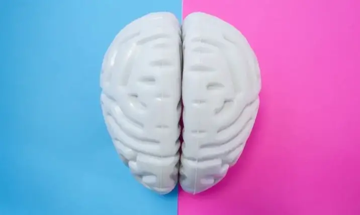 Qué es la neurociencia En-qué-consiste-un-lenguaje-de-programación
