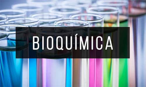 Bioquimica