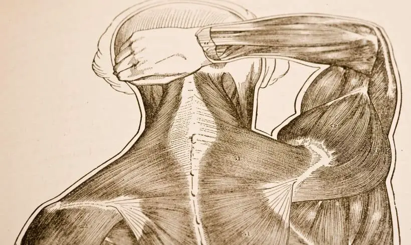 Libros de fisiologia portada Libros de fisiologia portada