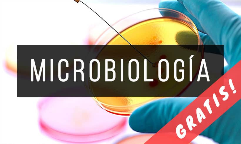 salami Agresivo carro 30 Libros de Microbiología ¡Gratis! [PDF] | InfoLibros.org