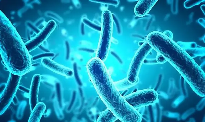 Qué es la microbiología En-qué-consiste-un-lenguaje-de-programación