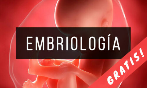 Libros de Embriología