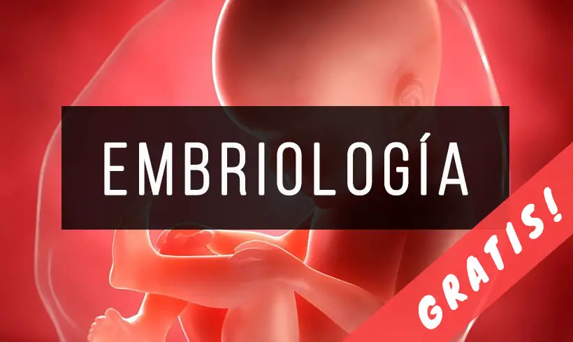 Libros-de-Embriologia-PDF