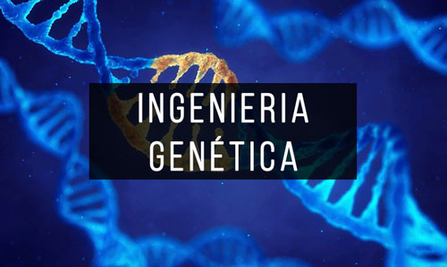 Libros-de-Ingenieria-Genética