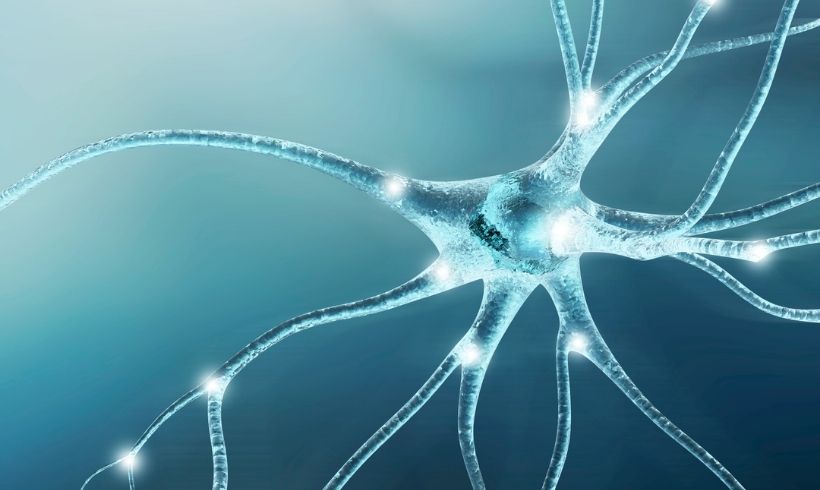 Libros de Neurologia portada Libros de Neurologia portada