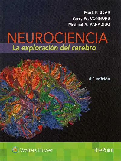 Neurociencia La exploración del cerebro