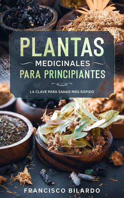 Plantas Medicinales para Principiantes