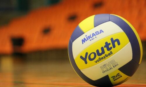 Libros de Voleibol