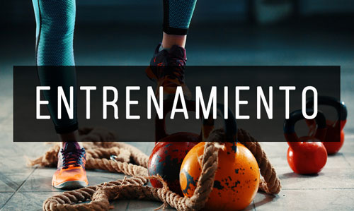 Entrenamiento Entrenamiento