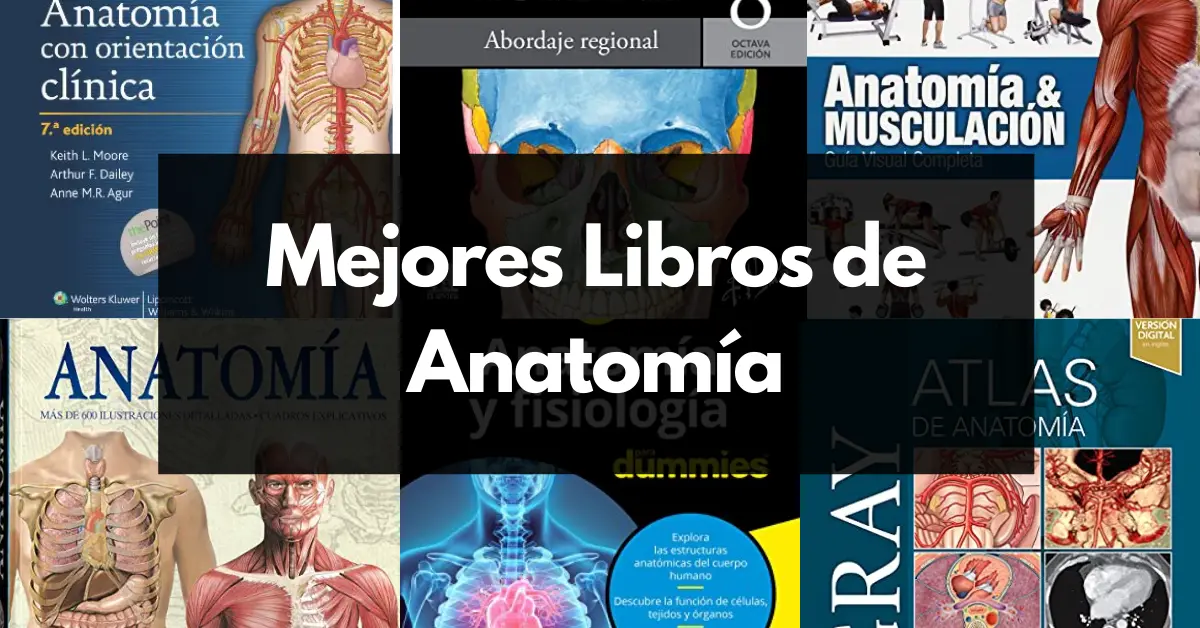 Mejores libros de anatomía