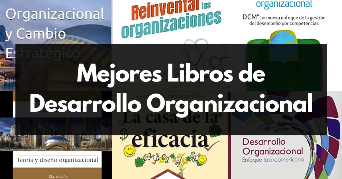 Libros de desarrollo organizacional