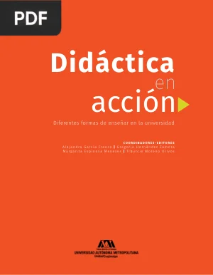Didáctica en acción: diferentes formas de enseñar en la universidad