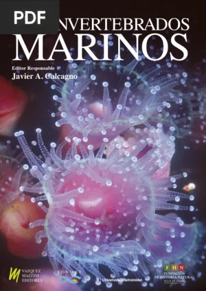 Los invertebrados marinos