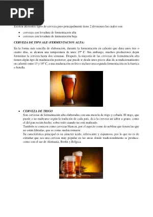 Tipos de Cervezas
