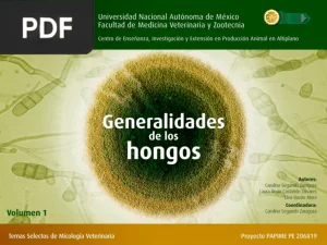 Generalidades de los hongos
