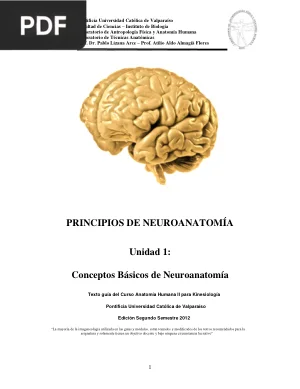 Principios de neuroanatomía. Conceptos Básicos de Neuroanatomía