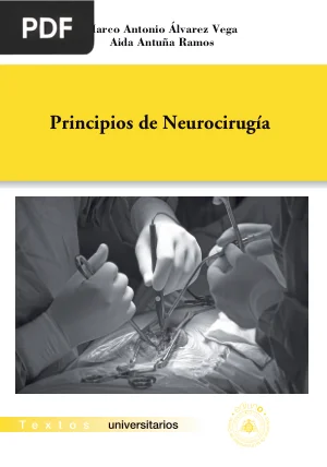 Principios de Neurocirugía