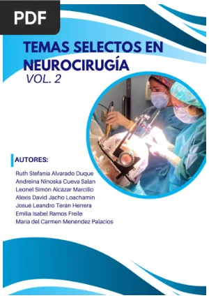 Temas Selectos en Neurocirugía Vol. 2