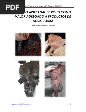 Curtido artesanal de pieles